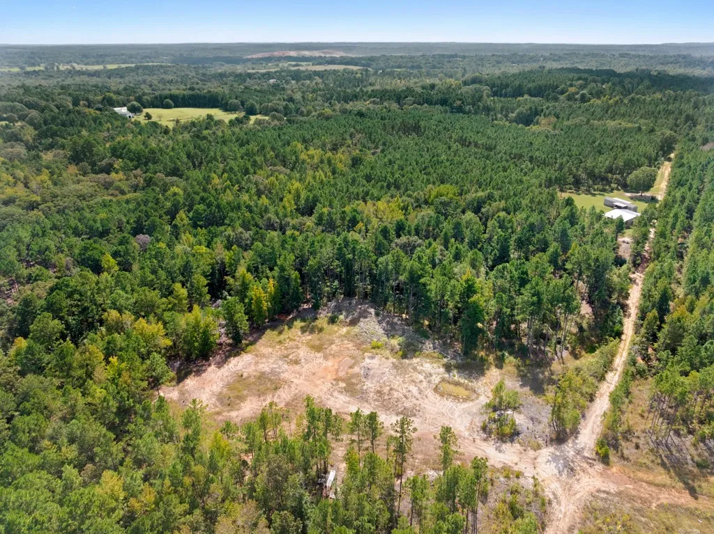 Improved Land For Sale in Smith County , 5379 CR 385, Tyler, Texas 75708, 0, 0, Garage spaces, 0 Sqft, built in 0, mls#21163737, Real Estate Agent in Tyler, Homes For Sale in Smith county, Homes For Sale in Tyler, Realtor in Tyler Texas, Real Estate Brokerage Independent Realty Texas, Luminita Cordes Realtor