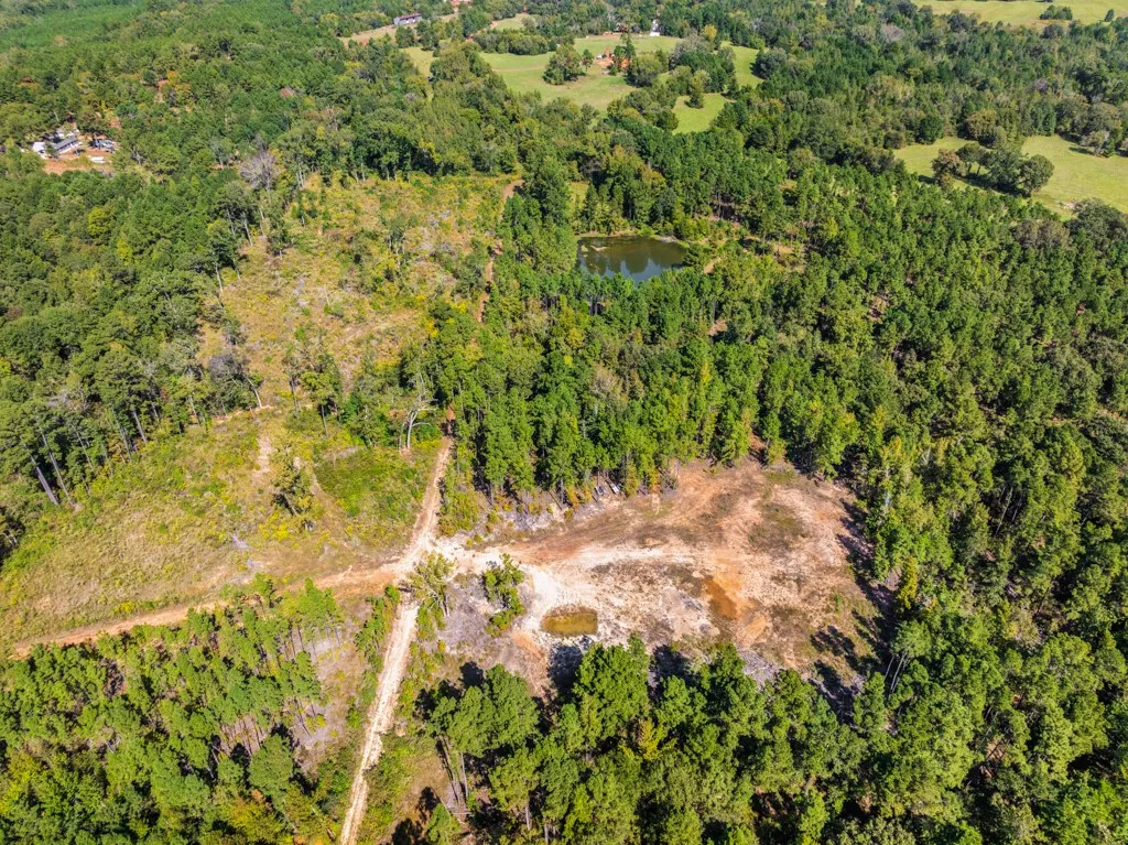 Improved Land For Sale in Smith County , 5379 CR 385, Tyler, Texas 75708, 0, 0, Garage spaces, 0 Sqft, built in 0, mls#21163737, Real Estate Agent in Tyler, Homes For Sale in Smith county, Homes For Sale in Tyler, Realtor in Tyler Texas, Real Estate Brokerage Independent Realty Texas, Luminita Cordes Realtor