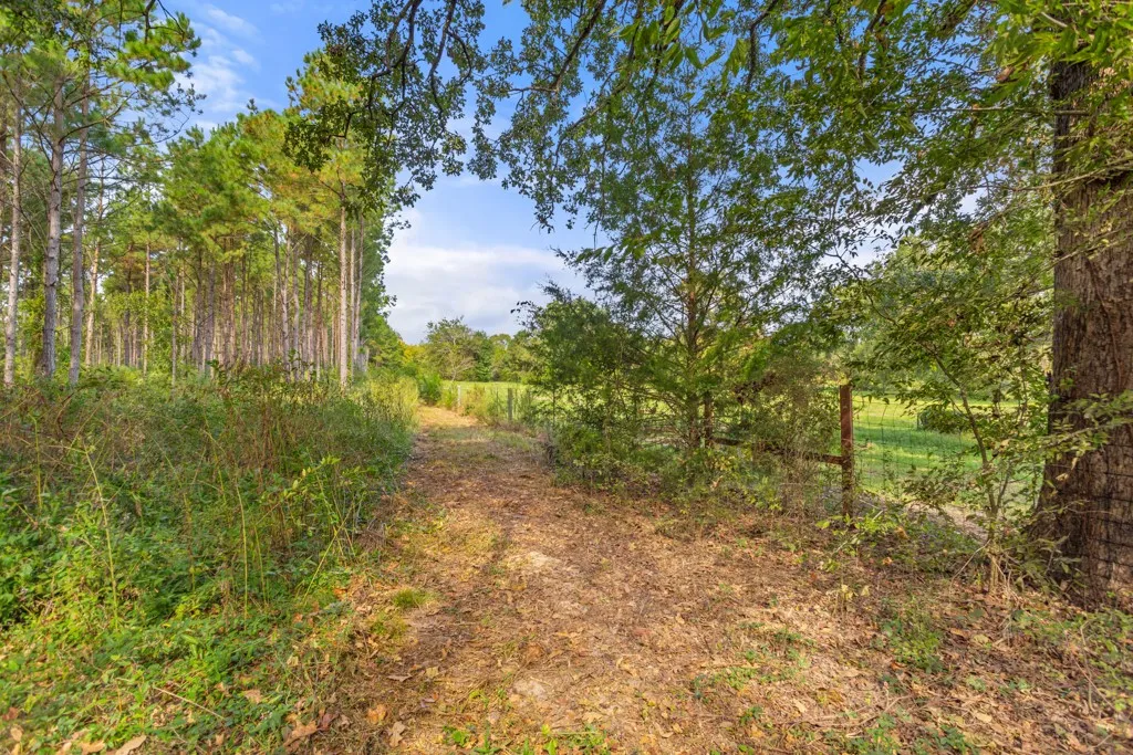 Improved Land For Sale in Smith County , 5379 CR 385, Tyler, Texas 75708, 0, 0, Garage spaces, 0 Sqft, built in 0, mls#21163737, Real Estate Agent in Tyler, Homes For Sale in Smith county, Homes For Sale in Tyler, Realtor in Tyler Texas, Real Estate Brokerage Independent Realty Texas, Luminita Cordes Realtor