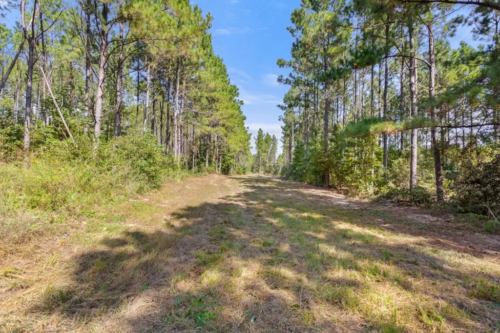 Improved Land For Sale in Smith County , 5379 CR 385, Tyler, Texas 75708, 0, 0, Garage spaces, 0 Sqft, built in 0, mls#21163737, Real Estate Agent in Tyler, Homes For Sale in Smith county, Homes For Sale in Tyler, Realtor in Tyler Texas, Real Estate Brokerage Independent Realty Texas, Luminita Cordes Realtor