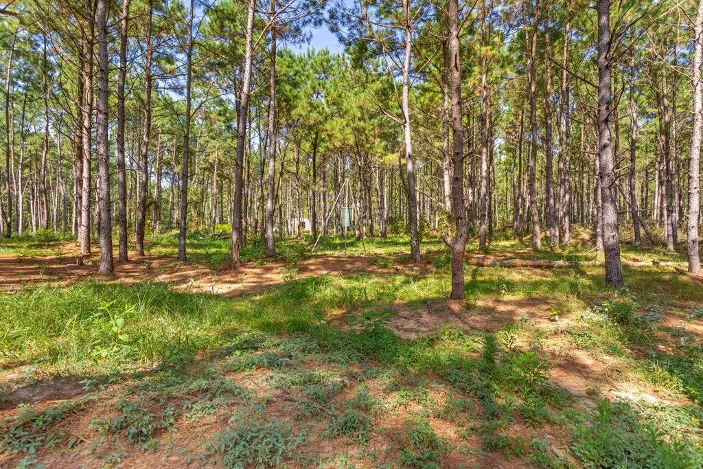 Improved Land For Sale in Smith County , 5379 CR 385, Tyler, Texas 75708, 0, 0, Garage spaces, 0 Sqft, built in 0, mls#21163737, Real Estate Agent in Tyler, Homes For Sale in Smith county, Homes For Sale in Tyler, Realtor in Tyler Texas, Real Estate Brokerage Independent Realty Texas, Luminita Cordes Realtor