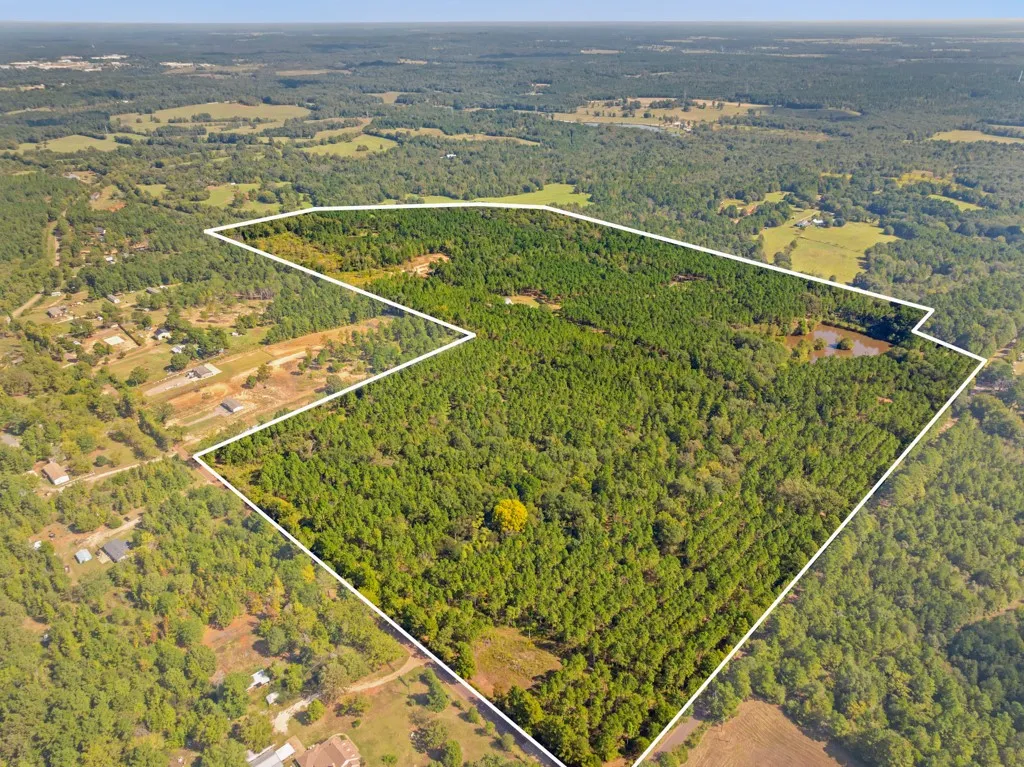 Improved Land For Sale in Smith County , 5379 CR 385, Tyler, Texas 75708, 0, 0, Garage spaces, 0 Sqft, built in 0, mls#21163737, Real Estate Agent in Tyler, Homes For Sale in Smith county, Homes For Sale in Tyler, Realtor in Tyler Texas, Real Estate Brokerage Independent Realty Texas, Luminita Cordes Realtor