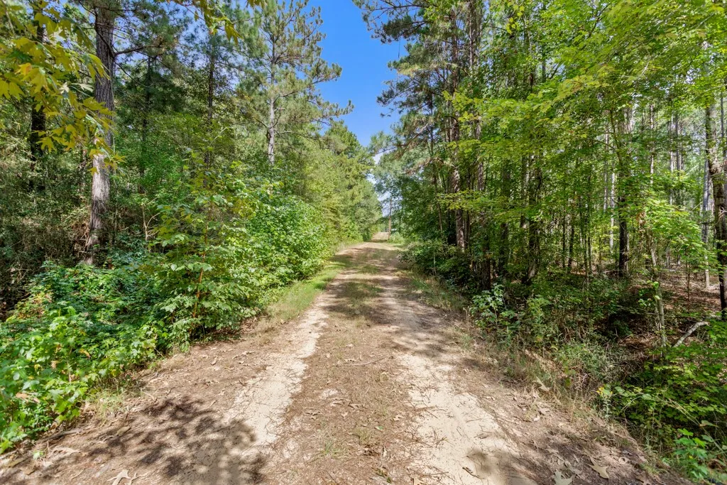Improved Land For Sale in Smith County , 5379 CR 385, Tyler, Texas 75708, 0, 0, Garage spaces, 0 Sqft, built in 0, mls#21163737, Real Estate Agent in Tyler, Homes For Sale in Smith county, Homes For Sale in Tyler, Realtor in Tyler Texas, Real Estate Brokerage Independent Realty Texas, Luminita Cordes Realtor