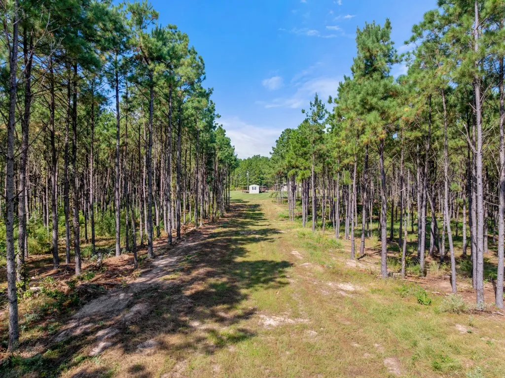 Improved Land For Sale in Smith County , 5379 CR 385, Tyler, Texas 75708, 0, 0, Garage spaces, 0 Sqft, built in 0, mls#21163737, Real Estate Agent in Tyler, Homes For Sale in Smith county, Homes For Sale in Tyler, Realtor in Tyler Texas, Real Estate Brokerage Independent Realty Texas, Luminita Cordes Realtor