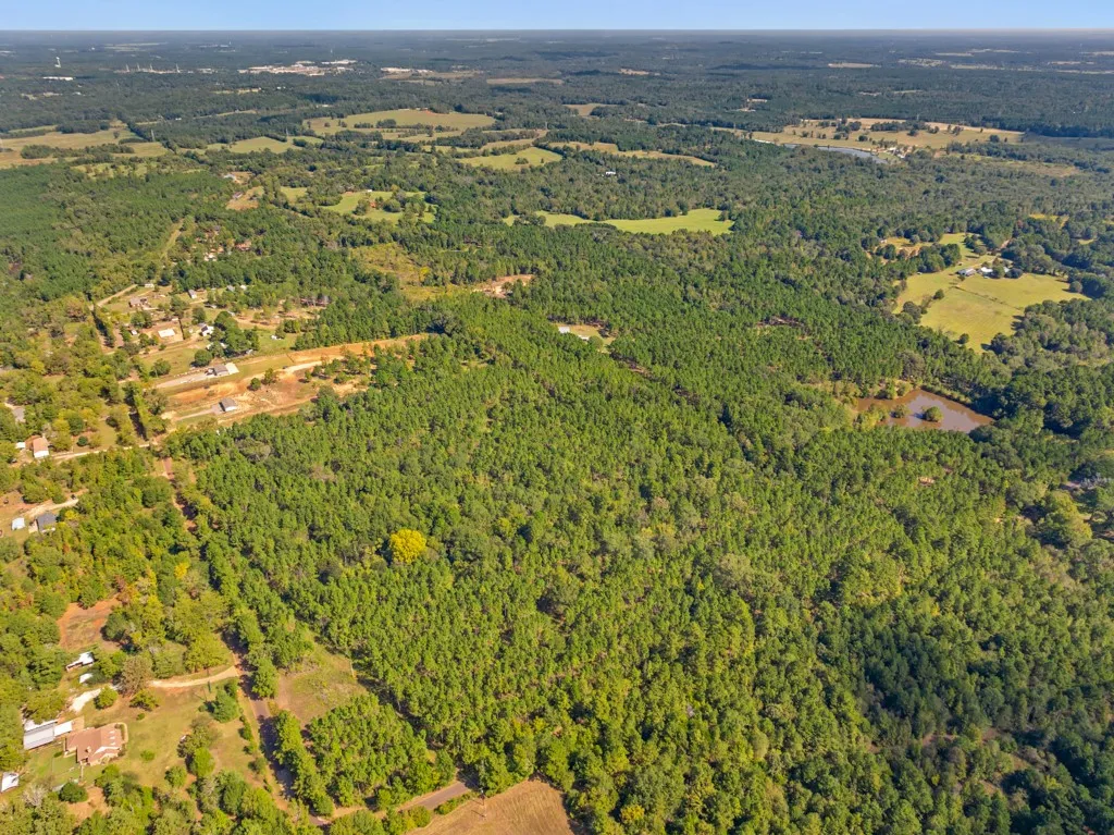 Improved Land For Sale in Smith County , 5379 CR 385, Tyler, Texas 75708, 0, 0, Garage spaces, 0 Sqft, built in 0, mls#21163737, Real Estate Agent in Tyler, Homes For Sale in Smith county, Homes For Sale in Tyler, Realtor in Tyler Texas, Real Estate Brokerage Independent Realty Texas, Luminita Cordes Realtor
