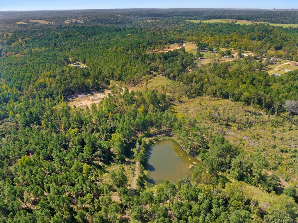 Improved Land For Sale in Smith County , 5379 CR 385, Tyler, Texas 75708, 0, 0, Garage spaces, 0 Sqft, built in 0, mls#21163737, Real Estate Agent in Tyler, Homes For Sale in Smith county, Homes For Sale in Tyler, Realtor in Tyler Texas, Real Estate Brokerage Independent Realty Texas, Luminita Cordes Realtor
