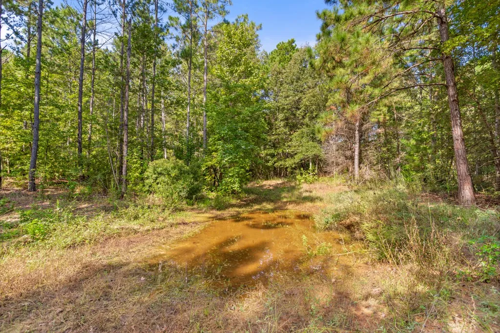 Improved Land For Sale in Smith County , 5379 CR 385, Tyler, Texas 75708, 0, 0, Garage spaces, 0 Sqft, built in 0, mls#21163737, Real Estate Agent in Tyler, Homes For Sale in Smith county, Homes For Sale in Tyler, Realtor in Tyler Texas, Real Estate Brokerage Independent Realty Texas, Luminita Cordes Realtor