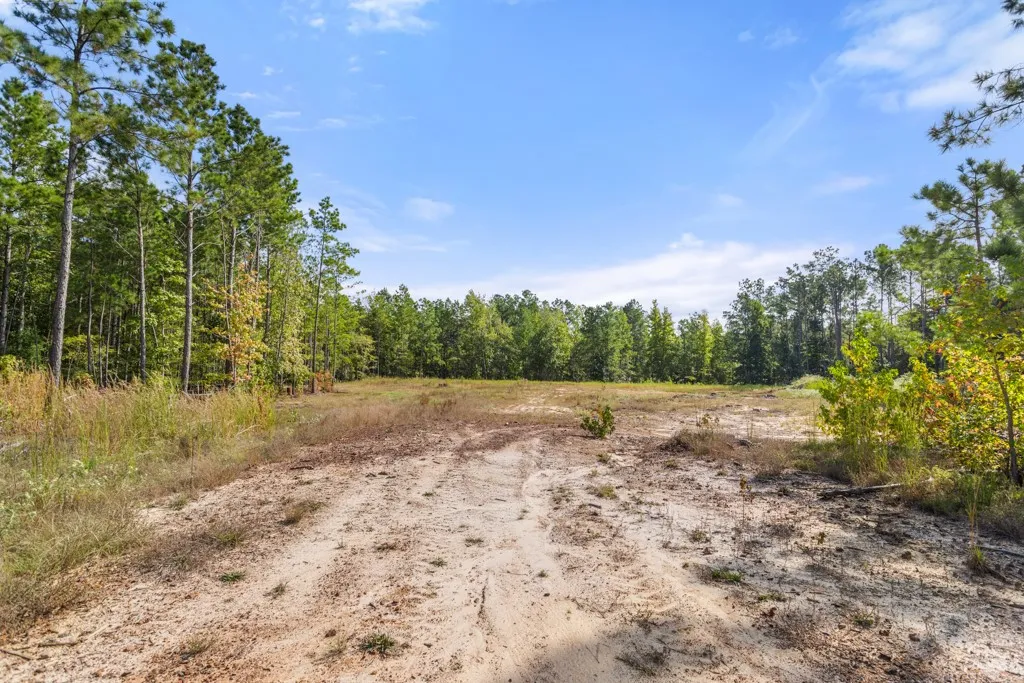 Improved Land For Sale in Smith County , 5379 CR 385, Tyler, Texas 75708, 0, 0, Garage spaces, 0 Sqft, built in 0, mls#21163737, Real Estate Agent in Tyler, Homes For Sale in Smith county, Homes For Sale in Tyler, Realtor in Tyler Texas, Real Estate Brokerage Independent Realty Texas, Luminita Cordes Realtor