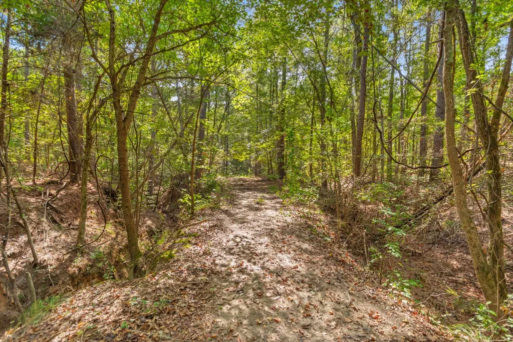 Improved Land For Sale in Smith County , 5379 CR 385, Tyler, Texas 75708, 0, 0, Garage spaces, 0 Sqft, built in 0, mls#21163737, Real Estate Agent in Tyler, Homes For Sale in Smith county, Homes For Sale in Tyler, Realtor in Tyler Texas, Real Estate Brokerage Independent Realty Texas, Luminita Cordes Realtor