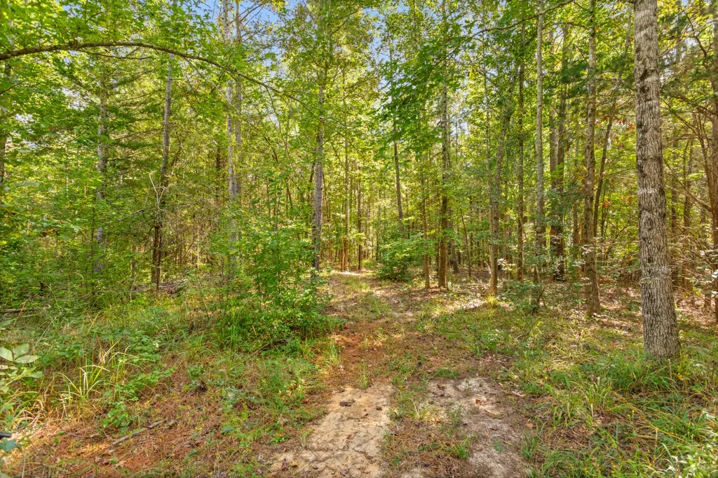 Improved Land For Sale in Smith County , 5379 CR 385, Tyler, Texas 75708, 0, 0, Garage spaces, 0 Sqft, built in 0, mls#21163737, Real Estate Agent in Tyler, Homes For Sale in Smith county, Homes For Sale in Tyler, Realtor in Tyler Texas, Real Estate Brokerage Independent Realty Texas, Luminita Cordes Realtor