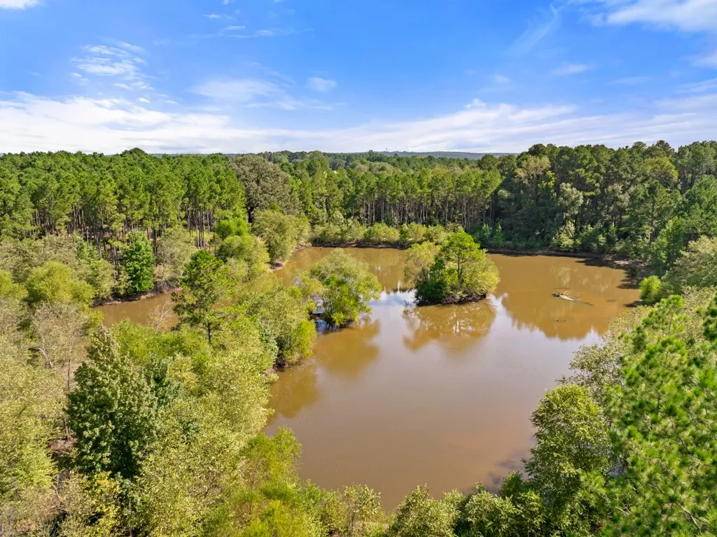 Improved Land For Sale in Smith County , 5379 CR 385, Tyler, Texas 75708, 0, 0, Garage spaces, 0 Sqft, built in 0, mls#21163737, Real Estate Agent in Tyler, Homes For Sale in Smith county, Homes For Sale in Tyler, Realtor in Tyler Texas, Real Estate Brokerage Independent Realty Texas, Luminita Cordes Realtor