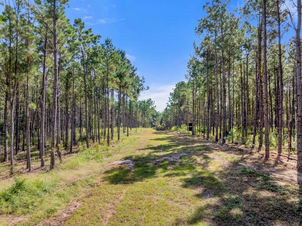 Improved Land For Sale in Smith County , 5379 CR 385, Tyler, Texas 75708, 0, 0, Garage spaces, 0 Sqft, built in 0, mls#21163737, Real Estate Agent in Tyler, Homes For Sale in Smith county, Homes For Sale in Tyler, Realtor in Tyler Texas, Real Estate Brokerage Independent Realty Texas, Luminita Cordes Realtor