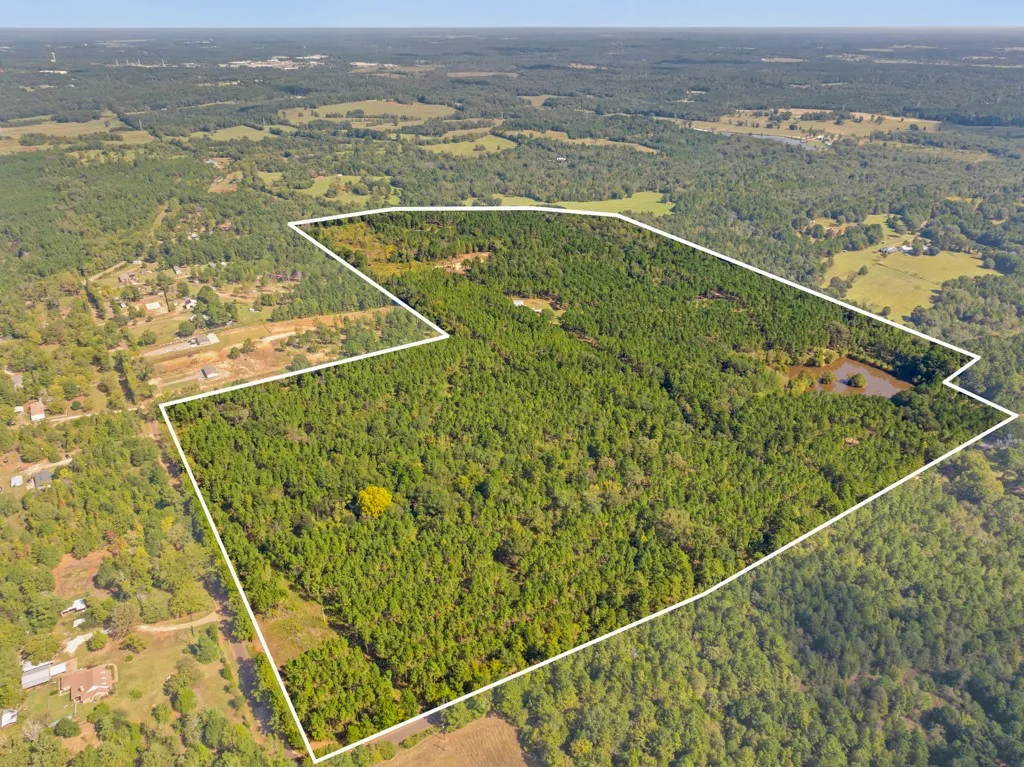 Improved Land For Sale in Smith County , 5379 CR 385, Tyler, Texas 75708, 0, 0, Garage spaces, 0 Sqft, built in 0, mls#21163737, Real Estate Agent in Tyler, Homes For Sale in Smith county, Homes For Sale in Tyler, Realtor in Tyler Texas, Real Estate Brokerage Independent Realty Texas, Luminita Cordes Realtor