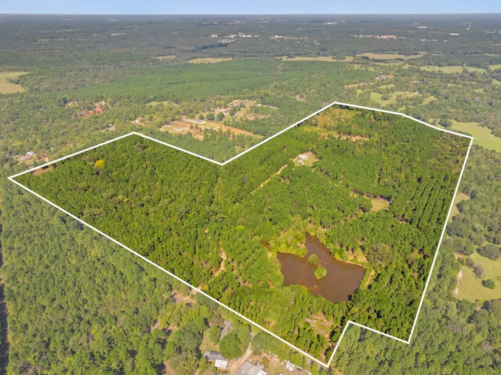 Improved Land For Sale in Smith County , 5379 CR 385, Tyler, Texas 75708, 0, 0, Garage spaces, 0 Sqft, built in 0, mls#21163737, Real Estate Agent in Tyler, Homes For Sale in Smith county, Homes For Sale in Tyler, Realtor in Tyler Texas, Real Estate Brokerage Independent Realty Texas, Luminita Cordes Realtor