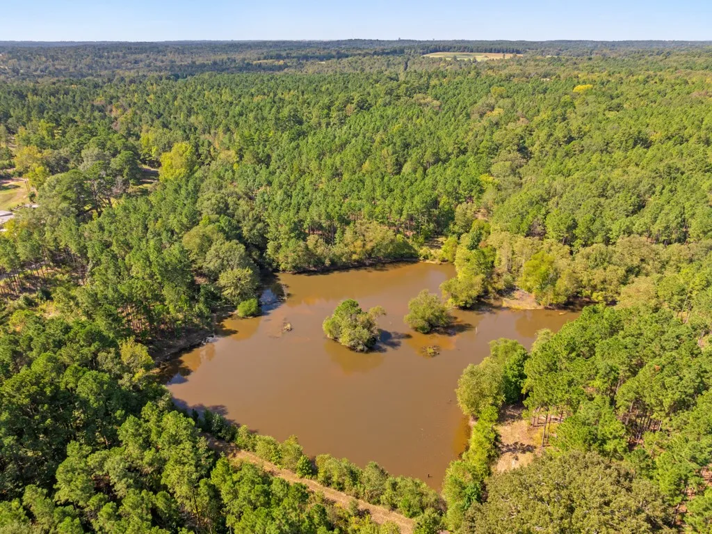Improved Land For Sale in Smith County , 5379 CR 385, Tyler, Texas 75708, 0, 0, Garage spaces, 0 Sqft, built in 0, mls#21163737, Real Estate Agent in Tyler, Homes For Sale in Smith county, Homes For Sale in Tyler, Realtor in Tyler Texas, Real Estate Brokerage Independent Realty Texas, Luminita Cordes Realtor