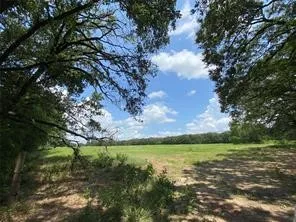 Unimproved Land For Sale in Hopkins County , 32 Acres County Road 2425, Como, Texas 75431, 0, 0, Garage spaces, 0 Sqft, built in 0, mls#21163733, Real Estate Agent in Como, Homes For Sale in Hopkins county, Homes For Sale in Como, Realtor in Como Texas, Real Estate Brokerage Independent Realty Texas, Luminita Cordes Realtor