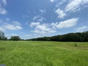 Unimproved Land For Sale in Hopkins County , 32 Acres County Road 2425, Como, Texas 75431, 0, 0, Garage spaces, 0 Sqft, built in 0, mls#21163733, Real Estate Agent in Como, Homes For Sale in Hopkins county, Homes For Sale in Como, Realtor in Como Texas, Real Estate Brokerage Independent Realty Texas, Luminita Cordes Realtor