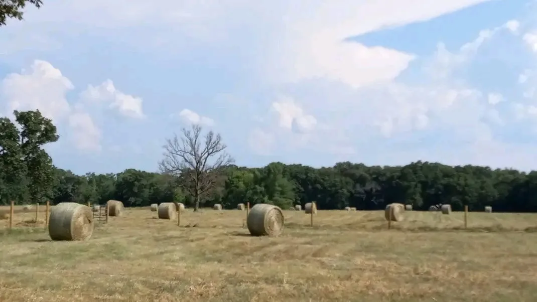Hay Field