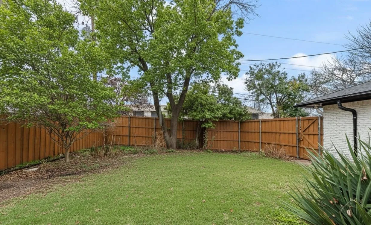 Backyard