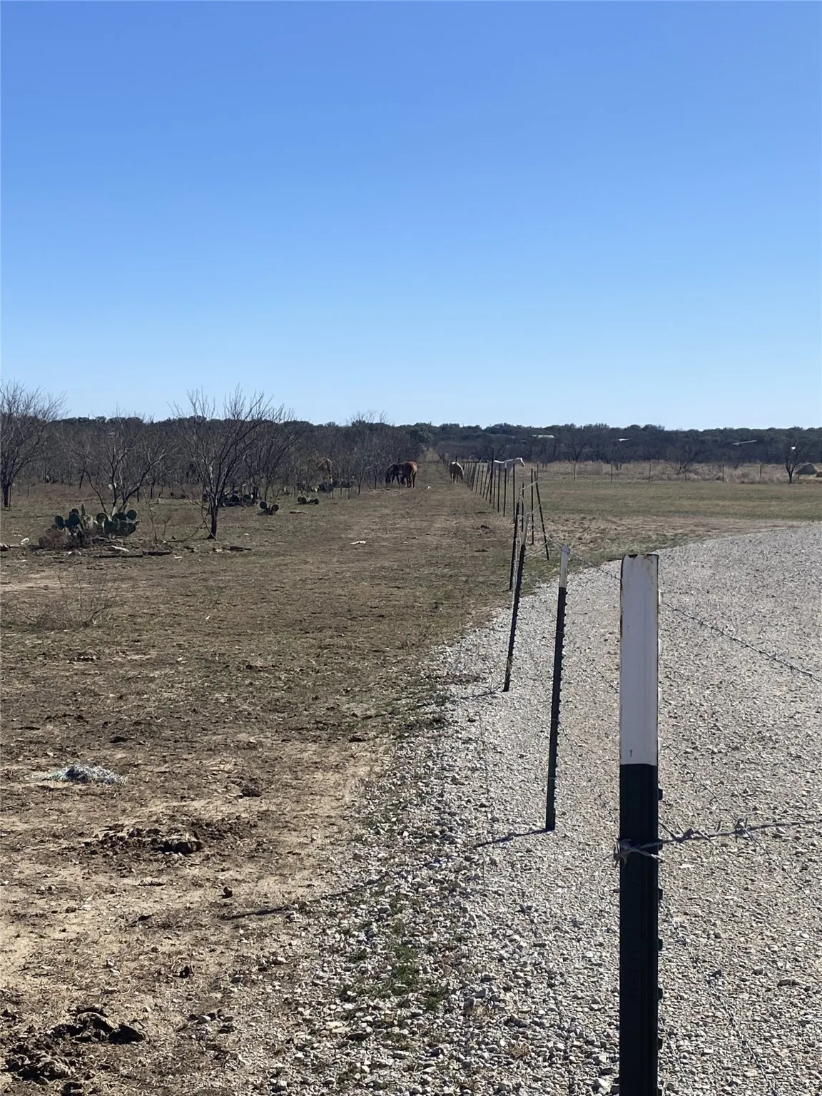 Four-strand & Five-strand barbed wire fencing full perimeter