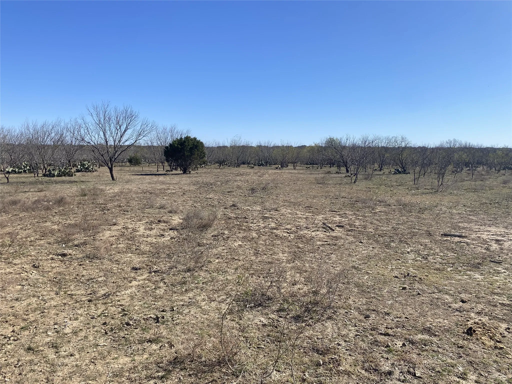 Open area perfect for a deer feeder or crop
