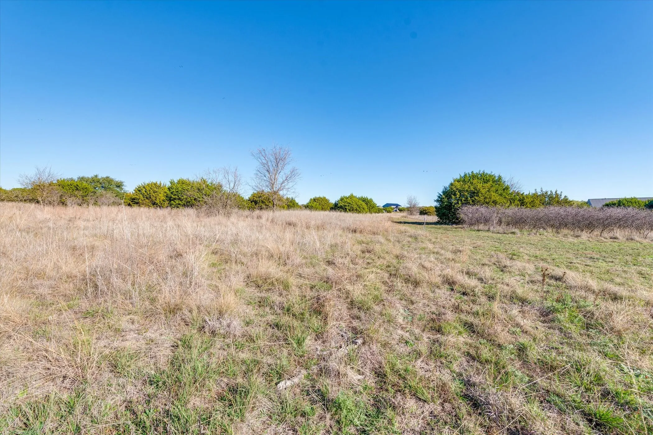 Unimproved Land For Sale in Parker County , TBD 11 Gremminger Court, Weatherford, Texas 76088, 0, 0, Garage spaces, 0 Sqft, built in 0, Price $289,900, mls#21164032, Real Estate Agent in Weatherford, Homes For Sale in Parker county, Homes For Sale in Weatherford, Realtor in Weatherford Texas, Real Estate Brokerage Independent Realty Texas, Luminita Cordes Realtor