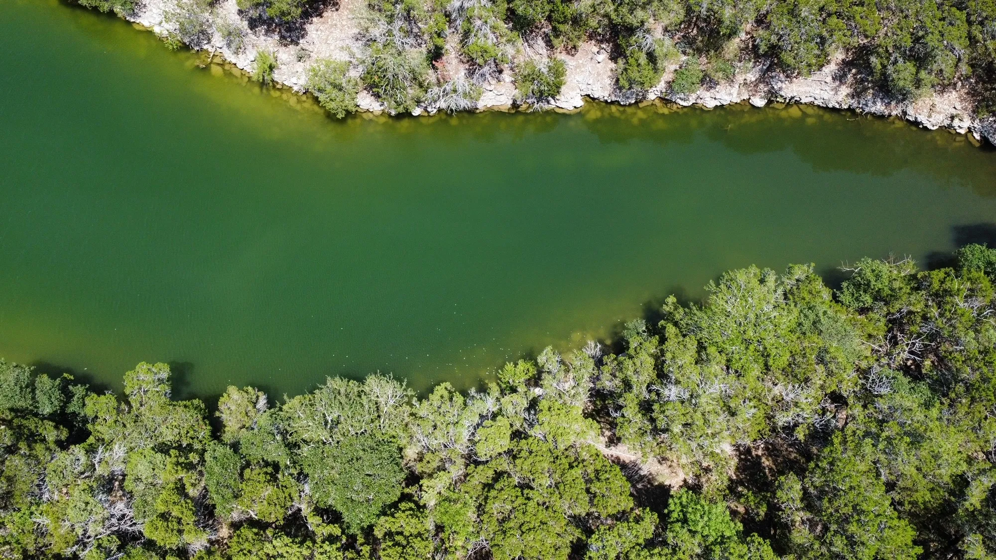 Unimproved Land For Sale in Palo Pinto County , 1010 Cliffs Drive, Possum Kingdom Lake, Texas 76449, 0, 0, Garage spaces, 0 Sqft, built in 0, Price $269,000, mls#21164088, Real Estate Agent in Possum Kingdom Lake, Homes For Sale in Palo Pinto county, Homes For Sale in Possum Kingdom Lake, Realtor in Possum Kingdom Lake Texas, Real Estate Brokerage Independent Realty Texas, Luminita Cordes Realtor