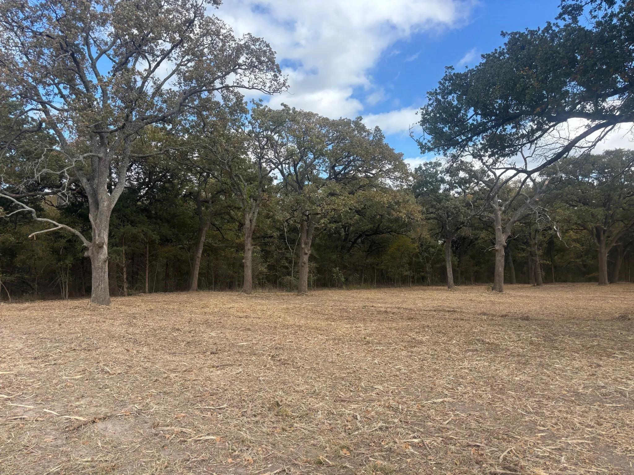 Unimproved Land For Sale in Hunt County , 5.2 acres FM 1570, Greenville, Texas 75402, 0, 0, Garage spaces, 0 Sqft, built in 0, mls#21162078, Real Estate Agent in Greenville, Homes For Sale in Hunt county, Homes For Sale in Greenville, Realtor in Greenville Texas, Real Estate Brokerage Independent Realty Texas, Luminita Cordes Realtor