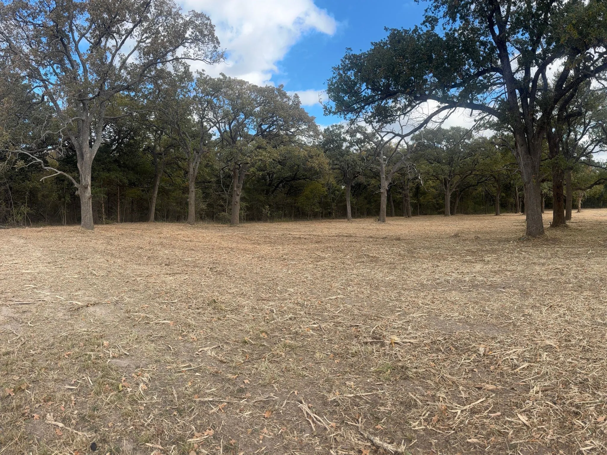 Unimproved Land For Sale in Hunt County , 5.2 acres FM 1570, Greenville, Texas 75402, 0, 0, Garage spaces, 0 Sqft, built in 0, mls#21162078, Real Estate Agent in Greenville, Homes For Sale in Hunt county, Homes For Sale in Greenville, Realtor in Greenville Texas, Real Estate Brokerage Independent Realty Texas, Luminita Cordes Realtor