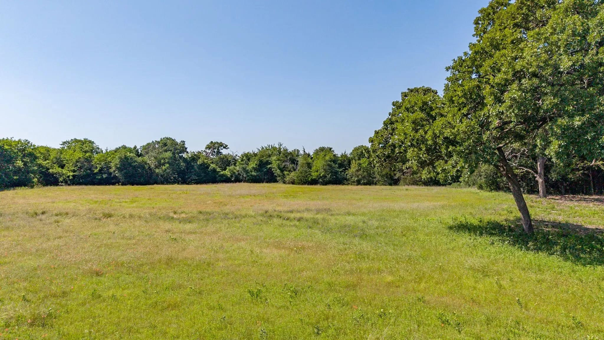 Unimproved Land For Sale in Hunt County , 5.2 acres FM 1570, Greenville, Texas 75402, 0, 0, Garage spaces, 0 Sqft, built in 0, mls#21162078, Real Estate Agent in Greenville, Homes For Sale in Hunt county, Homes For Sale in Greenville, Realtor in Greenville Texas, Real Estate Brokerage Independent Realty Texas, Luminita Cordes Realtor