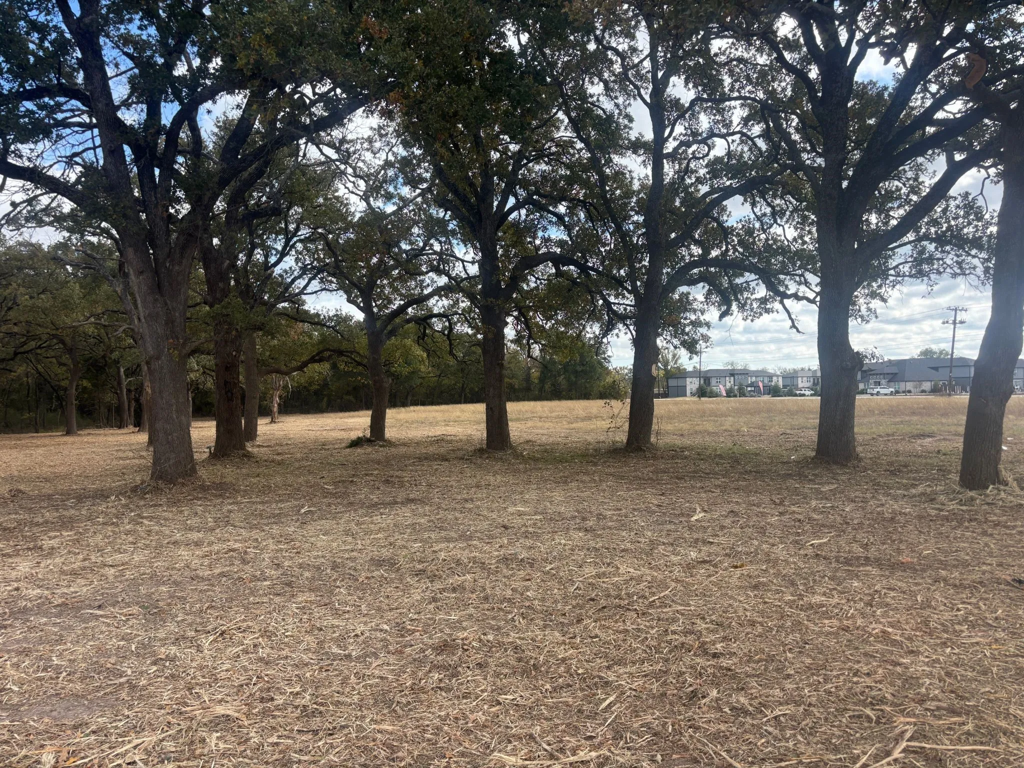 Unimproved Land For Sale in Hunt County , 5.2 acres FM 1570, Greenville, Texas 75402, 0, 0, Garage spaces, 0 Sqft, built in 0, mls#21162078, Real Estate Agent in Greenville, Homes For Sale in Hunt county, Homes For Sale in Greenville, Realtor in Greenville Texas, Real Estate Brokerage Independent Realty Texas, Luminita Cordes Realtor