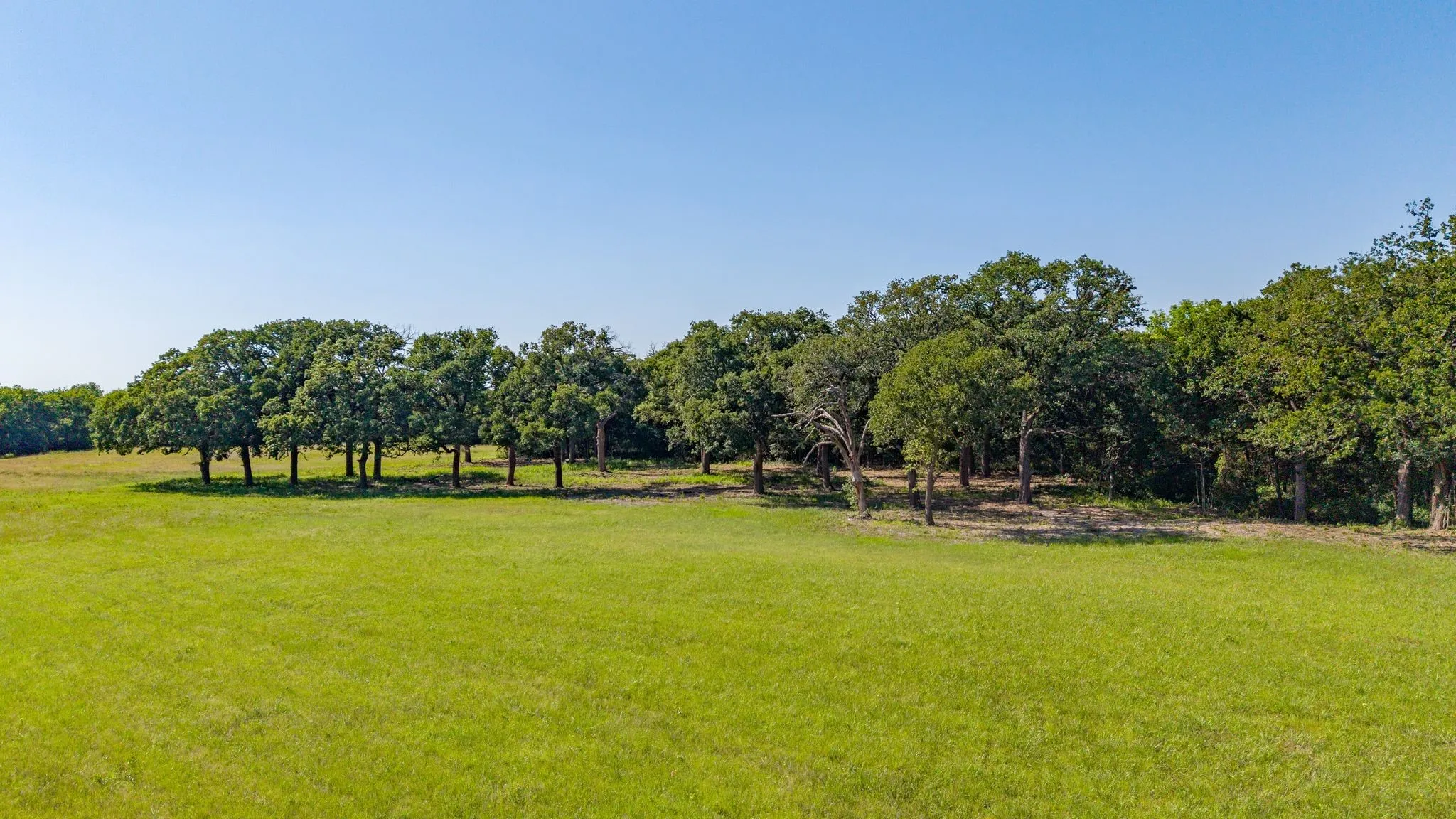 Unimproved Land For Sale in Hunt County , 5.2 acres FM 1570, Greenville, Texas 75402, 0, 0, Garage spaces, 0 Sqft, built in 0, mls#21162078, Real Estate Agent in Greenville, Homes For Sale in Hunt county, Homes For Sale in Greenville, Realtor in Greenville Texas, Real Estate Brokerage Independent Realty Texas, Luminita Cordes Realtor