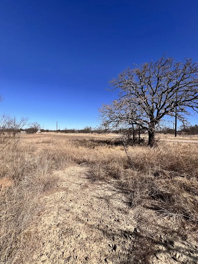 View of undeveloped land featuring rural landscape