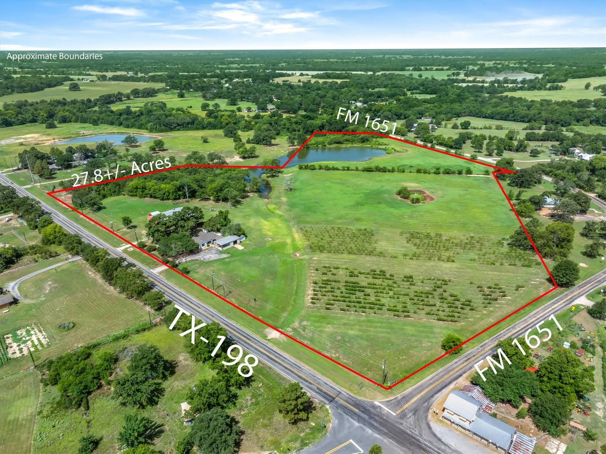 Farm For Sale in Van Zandt County , 5518 State Highway 198, Canton, Texas 75103, 3 Bedroom, 1 Bathroom, 1 Garage spaces, 1,896 Sqft, built in 1961, mls#21159549, Real Estate Agent in Canton, Homes For Sale in Van Zandt county, Homes For Sale in Canton, Realtor in Canton Texas, Real Estate Brokerage Independent Realty Texas, Luminita Cordes Realtor