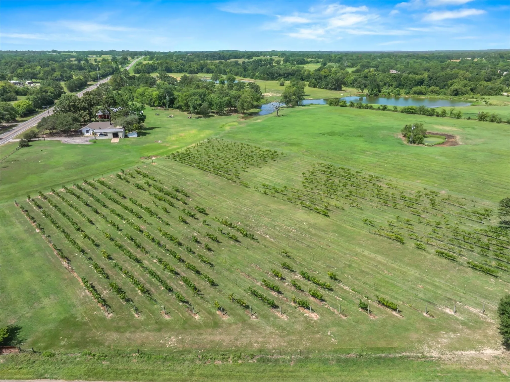 Farm For Sale in Van Zandt County , 5518 State Highway 198, Canton, Texas 75103, 3 Bedroom, 1 Bathroom, 1 Garage spaces, 1,896 Sqft, built in 1961, mls#21159549, Real Estate Agent in Canton, Homes For Sale in Van Zandt county, Homes For Sale in Canton, Realtor in Canton Texas, Real Estate Brokerage Independent Realty Texas, Luminita Cordes Realtor