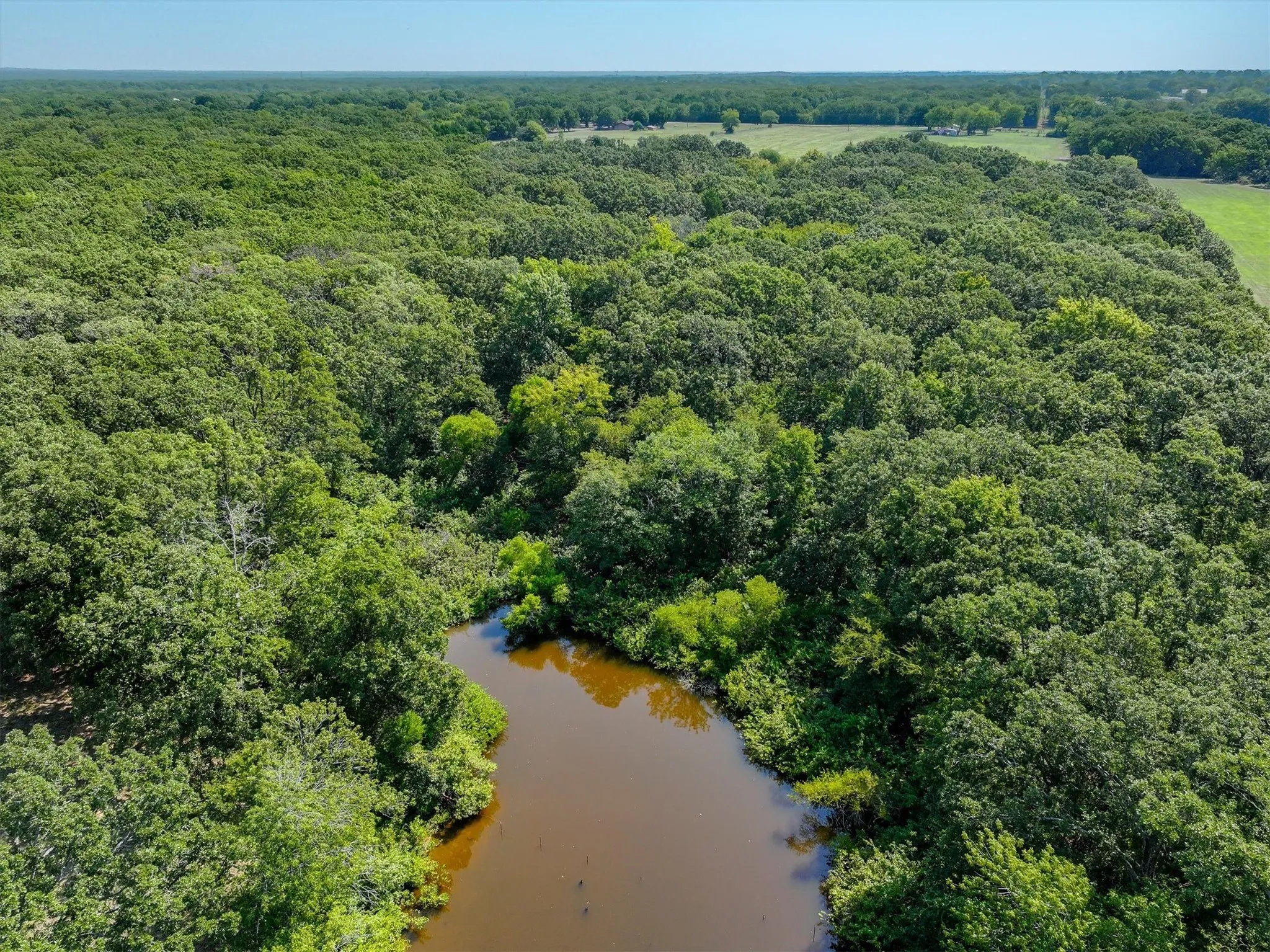 Unimproved Land For Sale in Van Zandt County , 0000 VZ County Rd 1810, Grand Saline, Texas 75140, 0, 0, Garage spaces, 0 Sqft, built in 0, Price $916,023, mls#21159390, Real Estate Agent in Grand Saline, Homes For Sale in Van Zandt county, Homes For Sale in Grand Saline, Realtor in Grand Saline Texas, Real Estate Brokerage Independent Realty Texas, Luminita Cordes Realtor