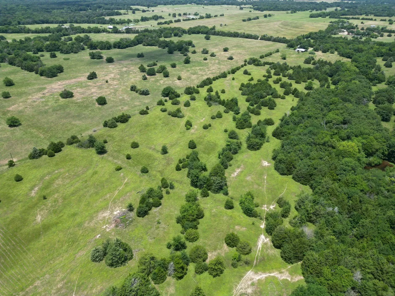 Improved Land For Sale in Hopkins County , 901 FM 499, Cumby, Texas 75443, 0, 0, Garage spaces, 0 Sqft, built in 0, Price $689,900, mls#21164605, Real Estate Agent in Cumby, Homes For Sale in Hopkins county, Homes For Sale in Cumby, Realtor in Cumby Texas, Real Estate Brokerage Independent Realty Texas, Luminita Cordes Realtor
