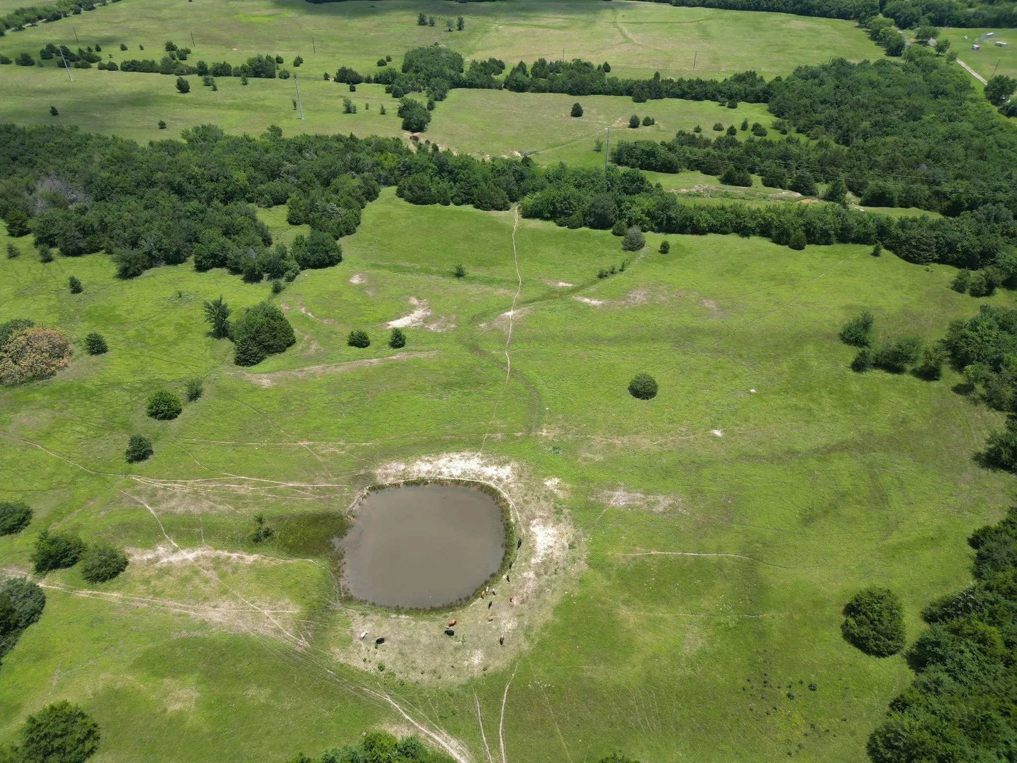 Improved Land For Sale in Hopkins County , 901 FM 499, Cumby, Texas 75443, 0, 0, Garage spaces, 0 Sqft, built in 0, Price $689,900, mls#21164605, Real Estate Agent in Cumby, Homes For Sale in Hopkins county, Homes For Sale in Cumby, Realtor in Cumby Texas, Real Estate Brokerage Independent Realty Texas, Luminita Cordes Realtor