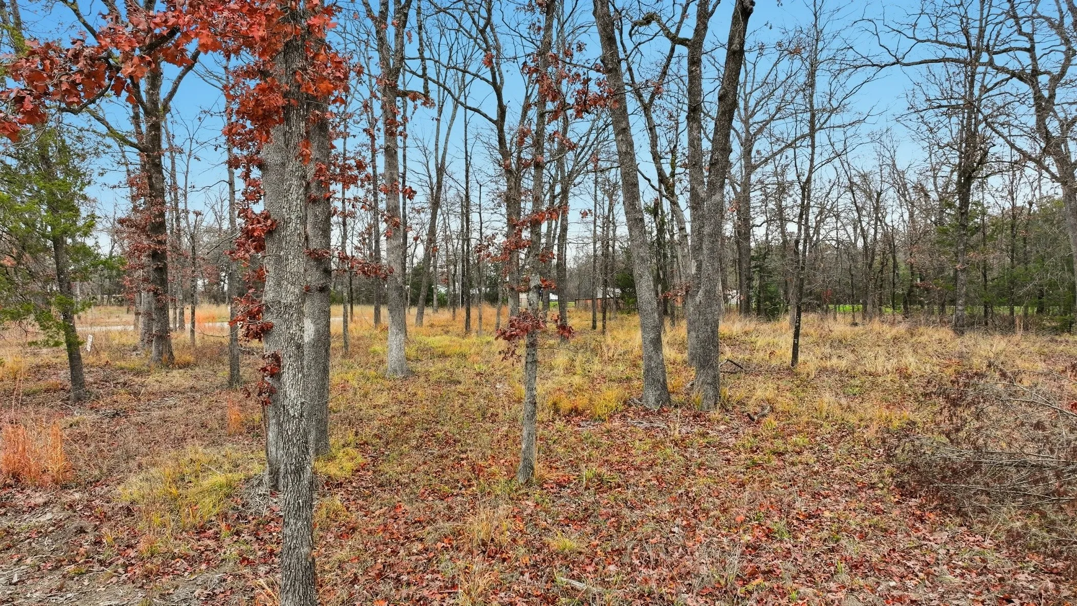 Unimproved Land For Sale in Wood County , Lot 39 & 39A, Block 1 Fisherman's Bay, Quitman, Texas 75783, 0, 0, Garage spaces, 0 Sqft, built in 0, mls#21154062, Real Estate Agent in Quitman, Homes For Sale in Wood county, Homes For Sale in Quitman, Realtor in Quitman Texas, Real Estate Brokerage Independent Realty Texas, Luminita Cordes Realtor