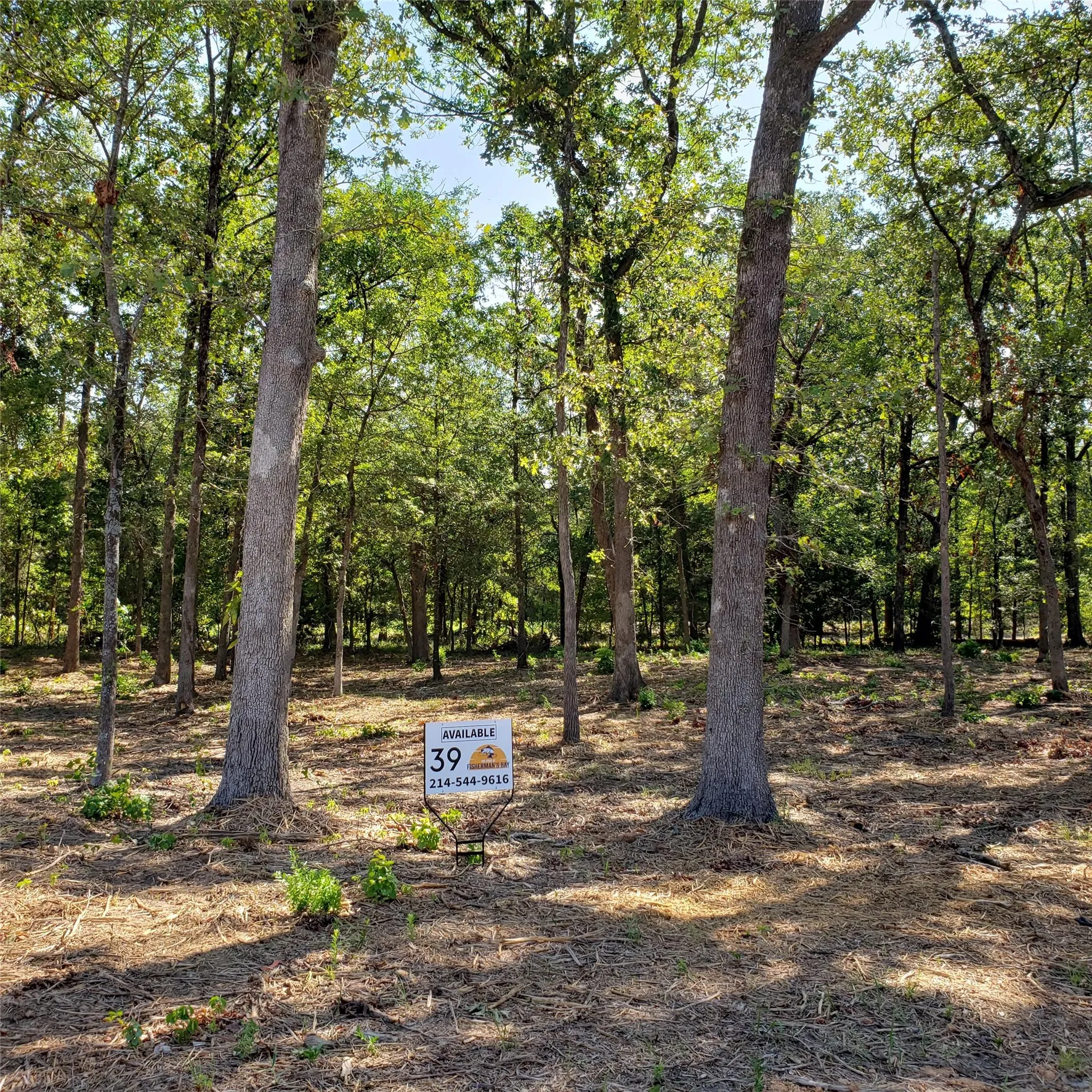 Unimproved Land For Sale in Wood County , Lot 39 & 39A, Block 1 Fisherman's Bay, Quitman, Texas 75783, 0, 0, Garage spaces, 0 Sqft, built in 0, mls#21154062, Real Estate Agent in Quitman, Homes For Sale in Wood county, Homes For Sale in Quitman, Realtor in Quitman Texas, Real Estate Brokerage Independent Realty Texas, Luminita Cordes Realtor