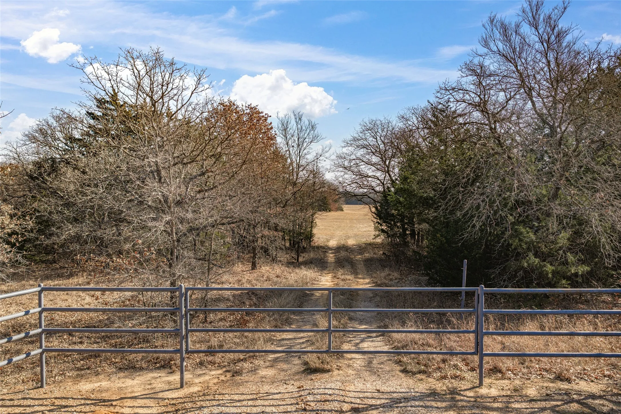 Unimproved Land For Sale in Cooke County , 0000 Fm 3496, Gainesville, Texas 76240, 0, 0, Garage spaces, 0 Sqft, built in 0, Price $2,869,000, mls#21160387, Real Estate Agent in Gainesville, Homes For Sale in Cooke county, Homes For Sale in Gainesville, Realtor in Gainesville Texas, Real Estate Brokerage Independent Realty Texas, Luminita Cordes Realtor