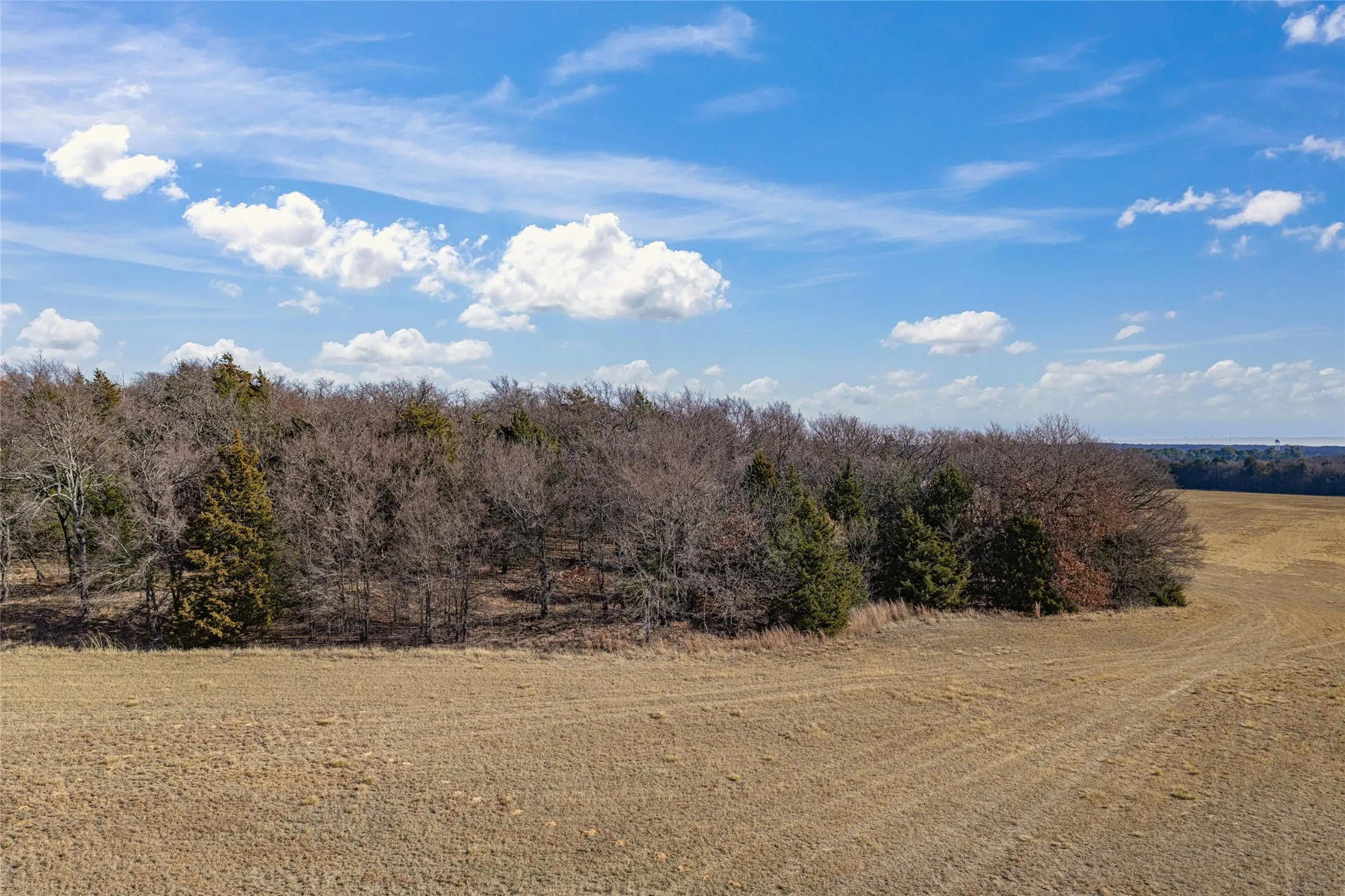 Unimproved Land For Sale in Cooke County , 0000 Fm 3496, Gainesville, Texas 76240, 0, 0, Garage spaces, 0 Sqft, built in 0, Price $2,869,000, mls#21160387, Real Estate Agent in Gainesville, Homes For Sale in Cooke county, Homes For Sale in Gainesville, Realtor in Gainesville Texas, Real Estate Brokerage Independent Realty Texas, Luminita Cordes Realtor