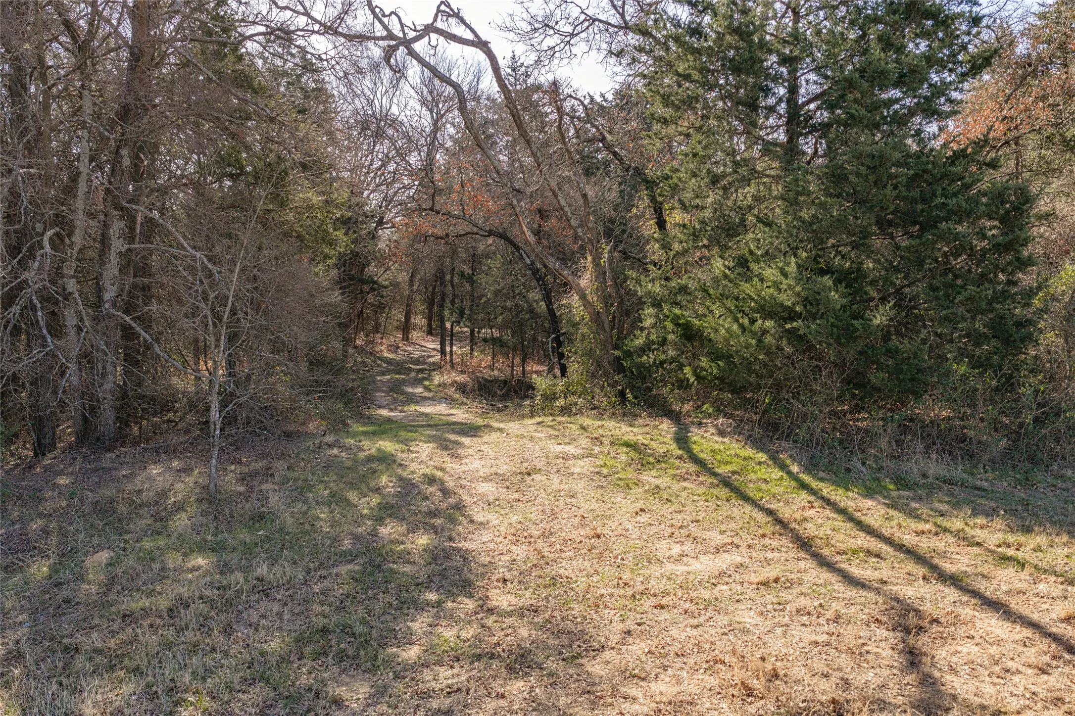 Unimproved Land For Sale in Cooke County , 0000 Fm 3496, Gainesville, Texas 76240, 0, 0, Garage spaces, 0 Sqft, built in 0, Price $2,869,000, mls#21160387, Real Estate Agent in Gainesville, Homes For Sale in Cooke county, Homes For Sale in Gainesville, Realtor in Gainesville Texas, Real Estate Brokerage Independent Realty Texas, Luminita Cordes Realtor