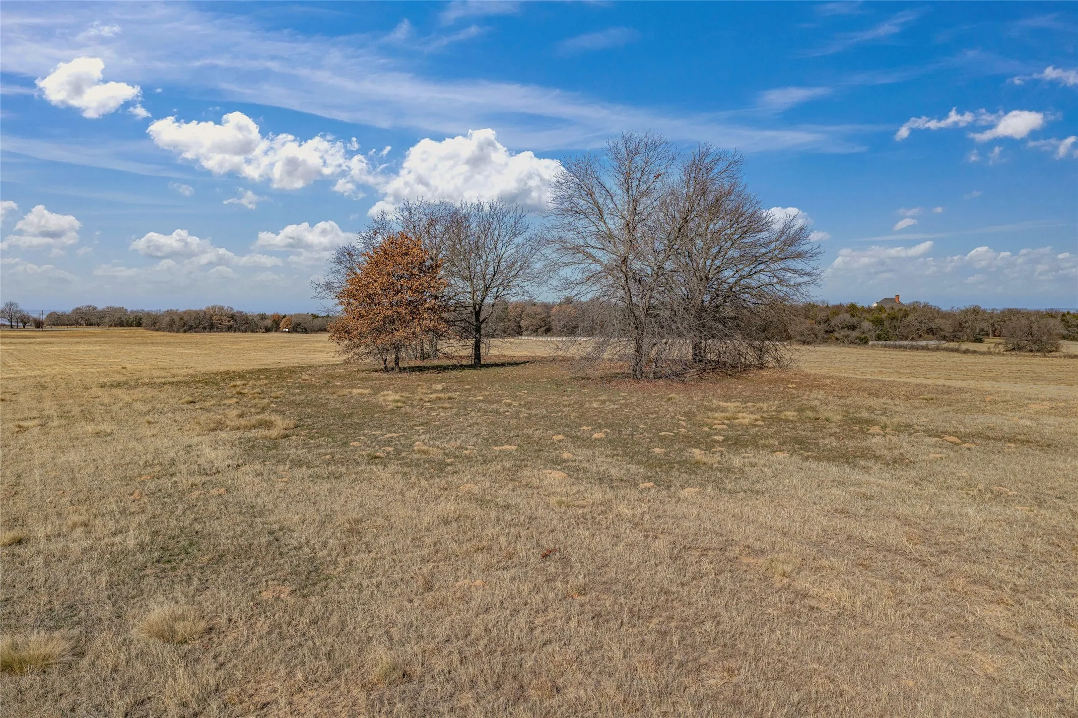 Unimproved Land For Sale in Cooke County , 0000 Fm 3496, Gainesville, Texas 76240, 0, 0, Garage spaces, 0 Sqft, built in 0, Price $2,869,000, mls#21160387, Real Estate Agent in Gainesville, Homes For Sale in Cooke county, Homes For Sale in Gainesville, Realtor in Gainesville Texas, Real Estate Brokerage Independent Realty Texas, Luminita Cordes Realtor