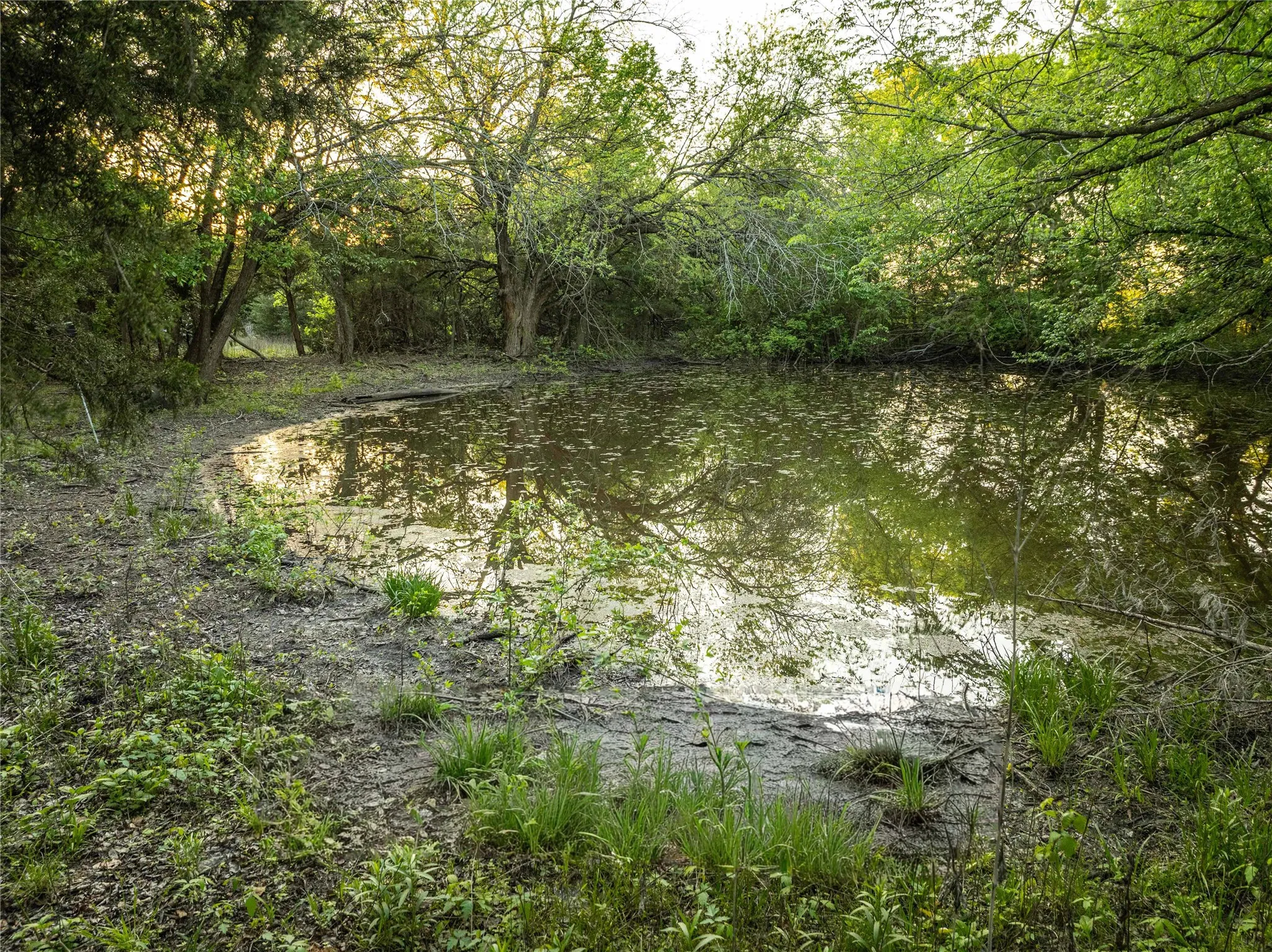 Unimproved Land For Sale in Grayson County , 934 Everheart Road N, Bells, Texas 75414, 0, 0, Garage spaces, 0 Sqft, built in 0, mls#21164815, Real Estate Agent in Bells, Homes For Sale in Grayson county, Homes For Sale in Bells, Realtor in Bells Texas, Real Estate Brokerage Independent Realty Texas, Luminita Cordes Realtor