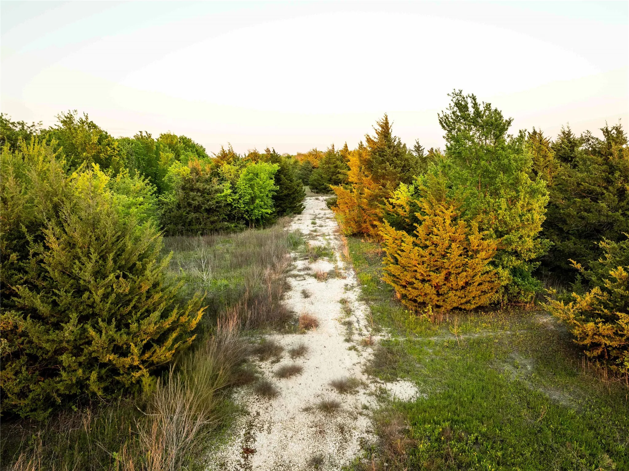 Unimproved Land For Sale in Grayson County , 934 Everheart Road N, Bells, Texas 75414, 0, 0, Garage spaces, 0 Sqft, built in 0, mls#21164815, Real Estate Agent in Bells, Homes For Sale in Grayson county, Homes For Sale in Bells, Realtor in Bells Texas, Real Estate Brokerage Independent Realty Texas, Luminita Cordes Realtor