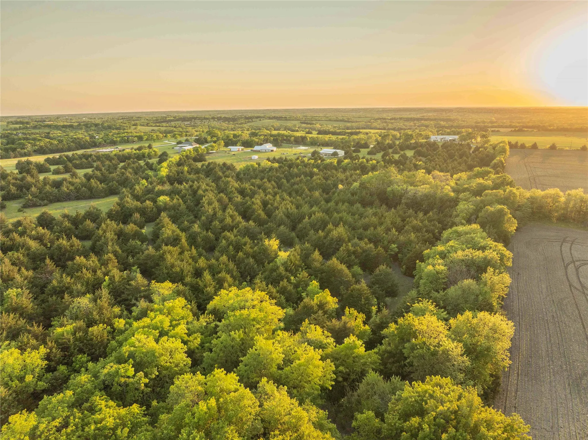 Unimproved Land For Sale in Grayson County , 934 Everheart Road N, Bells, Texas 75414, 0, 0, Garage spaces, 0 Sqft, built in 0, mls#21164815, Real Estate Agent in Bells, Homes For Sale in Grayson county, Homes For Sale in Bells, Realtor in Bells Texas, Real Estate Brokerage Independent Realty Texas, Luminita Cordes Realtor
