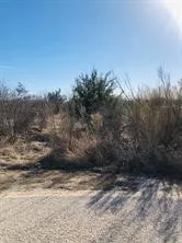Unimproved Land For Sale in Palo Pinto County , 30 Neeleys Slough Drive, Possum Kingdom Lake, Texas 76449, 0, 0, Garage spaces, 0 Sqft, built in 0, Price $10,500, mls#21164838, Real Estate Agent in Possum Kingdom Lake, Homes For Sale in Palo Pinto county, Homes For Sale in Possum Kingdom Lake, Realtor in Possum Kingdom Lake Texas, Real Estate Brokerage Independent Realty Texas, Luminita Cordes Realtor