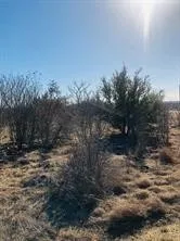 Unimproved Land For Sale in Palo Pinto County , 30 Neeleys Slough Drive, Possum Kingdom Lake, Texas 76449, 0, 0, Garage spaces, 0 Sqft, built in 0, Price $10,500, mls#21164838, Real Estate Agent in Possum Kingdom Lake, Homes For Sale in Palo Pinto county, Homes For Sale in Possum Kingdom Lake, Realtor in Possum Kingdom Lake Texas, Real Estate Brokerage Independent Realty Texas, Luminita Cordes Realtor