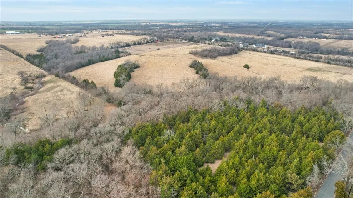 Unimproved Land For Sale in Grayson County , tbd Fm-902, Howe, Texas 75092, 0, 0, Garage spaces, 0 Sqft, built in 0, mls#21164951, Real Estate Agent in Howe, Homes For Sale in Grayson county, Homes For Sale in Howe, Realtor in Howe Texas, Real Estate Brokerage Independent Realty Texas, Luminita Cordes Realtor